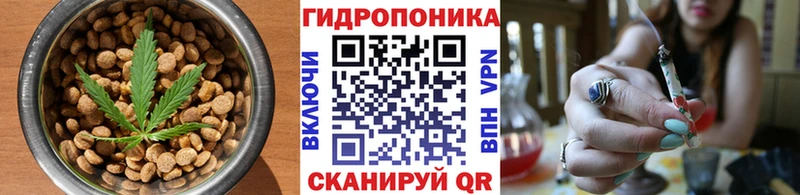 Canna-Cookies конопля  Туринск 