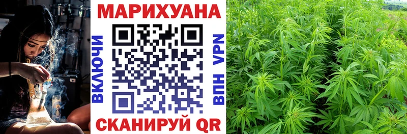 Марихуана индика  Туринск 